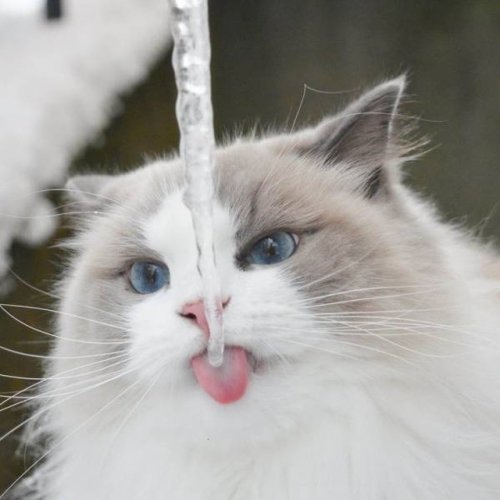 Ты совсем один в этом огромном мире, пока заряжается телефон