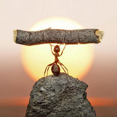 Не хочу жить с тревогой