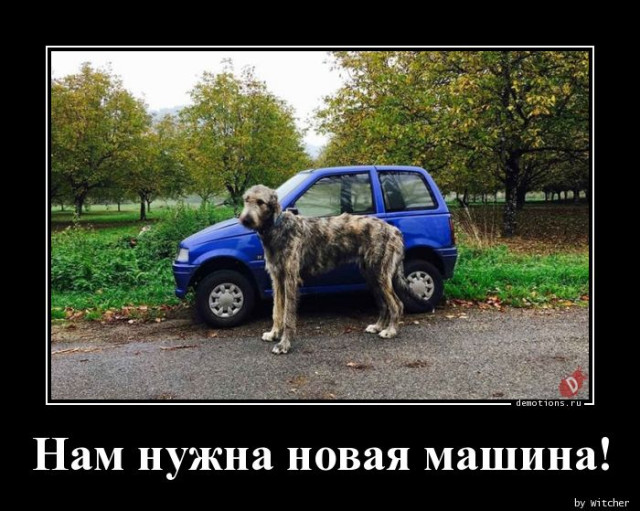 Демотиваторы в середине недели: «Вчера здесь было три кабачка» 