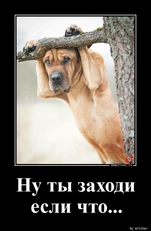 Демотиваторы дня: «Хорошо выспалась…»  