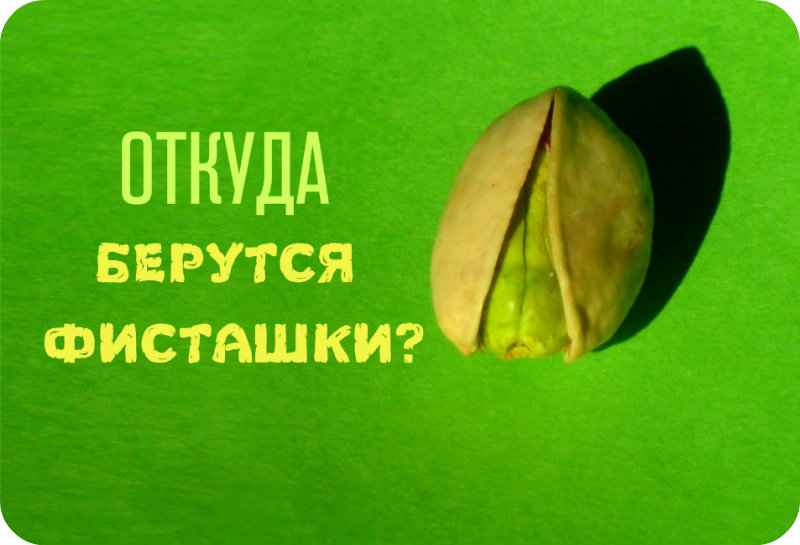 Как выглядят 19 популярных продукта до сбора урожая интересно, продукты, урожай