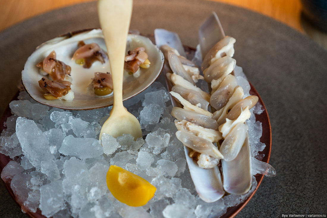 Лучший ресторан мира: рыбий пузырь, муравьи и кожа в шоколаде Лучший ресторан мира: рыбий пузырь, муравьи и кожа в шоколаде мир,страны,туризм