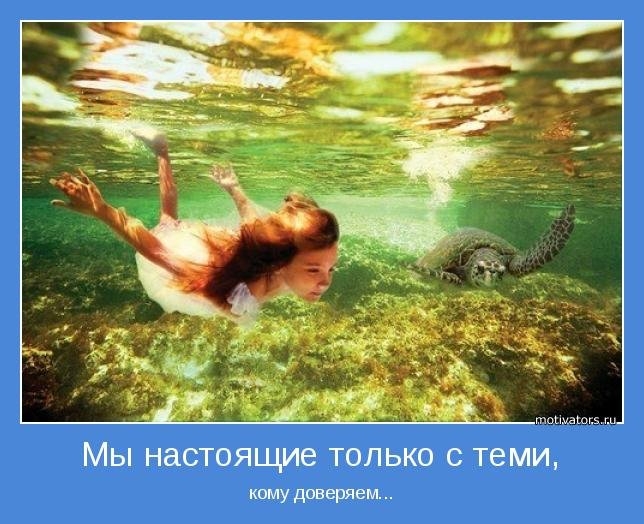 Подборка забавных и смешных мотиваторов для улыбки Подборка забавных и смешных мотиваторов для улыбки