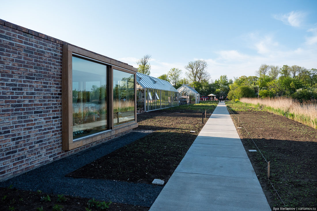 Лучший ресторан мира: рыбий пузырь, муравьи и кожа в шоколаде Лучший ресторан мира: рыбий пузырь, муравьи и кожа в шоколаде мир,страны,туризм