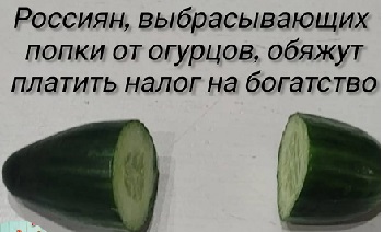 Центнер красоты Аллочка, чтобы, шагомер, соседка, только, вдруг, буквально, Аллочку, формы, каждый, решила, временами, пойти, потому, похудеть, пришлось, пошла, после, чтолиКакто, политых