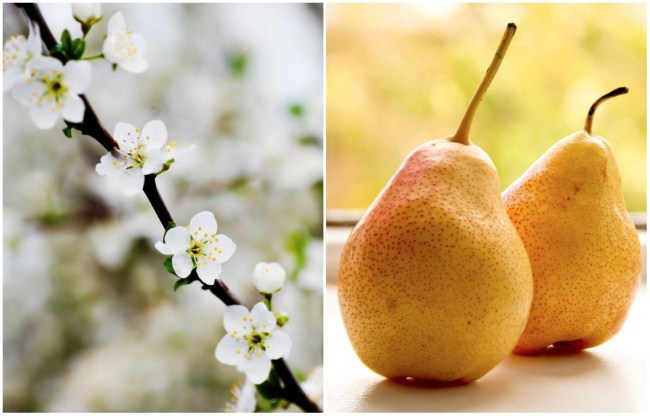 фрукты и овощи до того как созреют