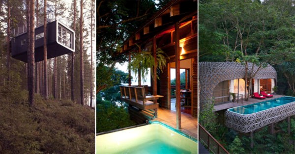 «Затерянный мир» или шесть самых причудливых отелей на деревьях