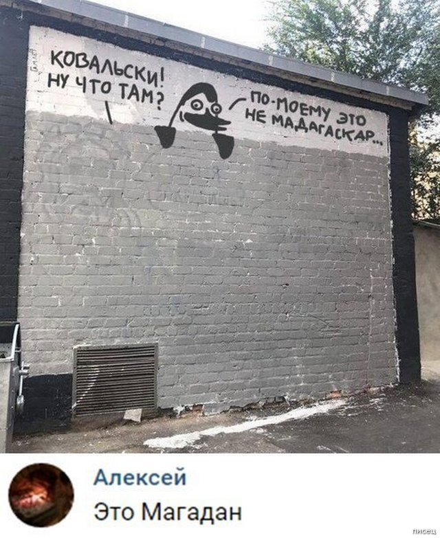Суперприколы из социальных сетей, от которых болит живот. Кайф! Суперприколы из социальных сетей, от которых болит живот. Кайф! смешные картинки