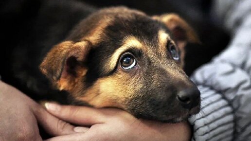 Кусочек души