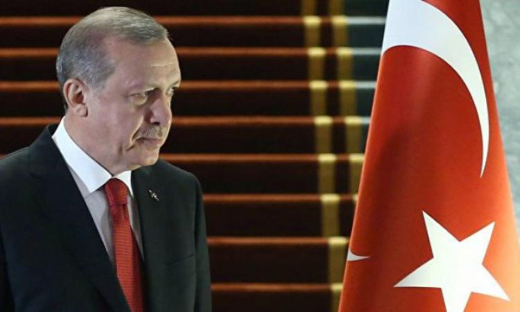 Пушков: Эрдоган уже сильно пожалел о сбитом Су-24 