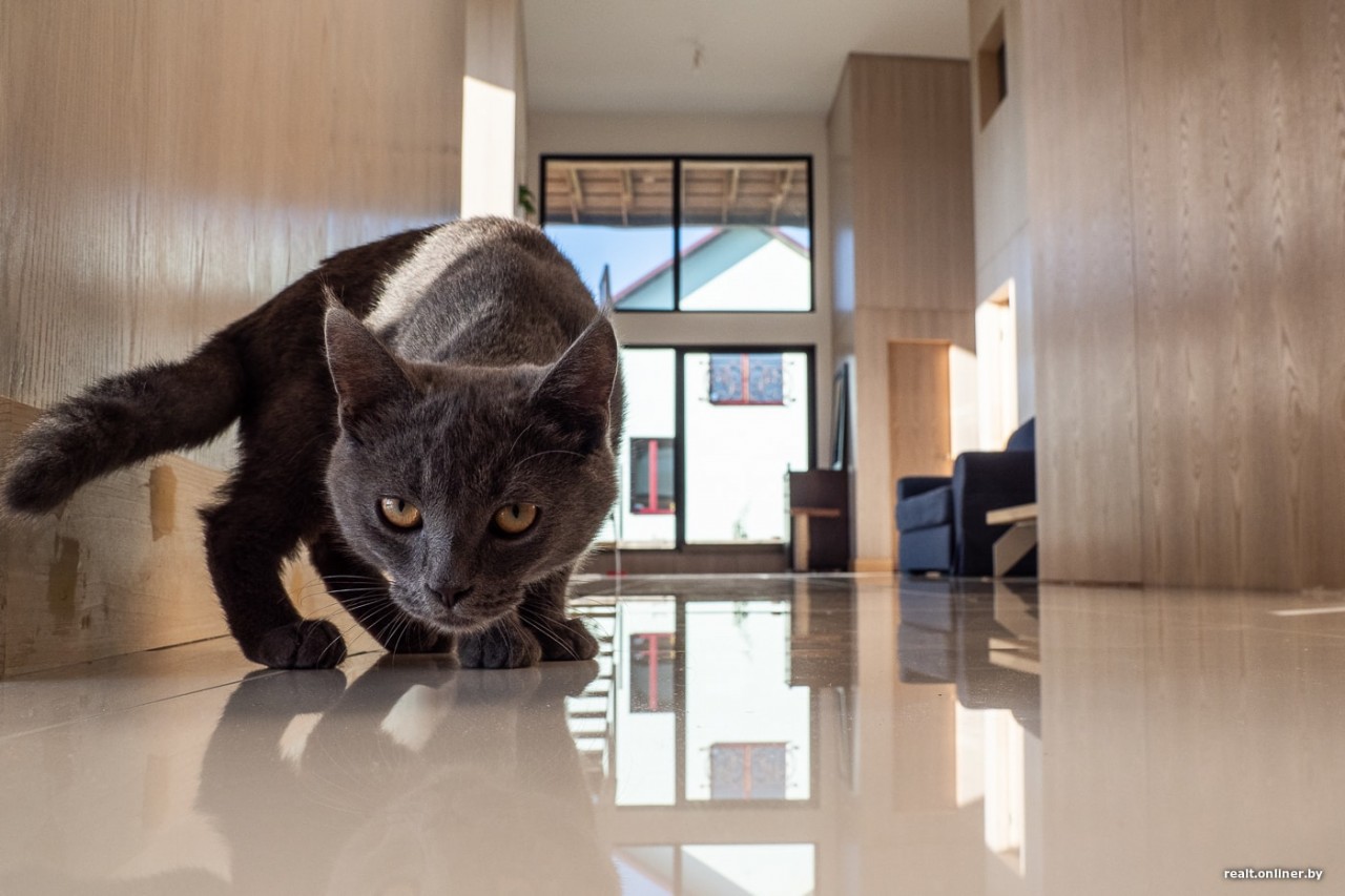 Помните семью из микродома на 16 «квадратах»? Посмотрите, какой удивительный коттедж она построила Помните семью из микродома на 16 «квадратах»? Посмотрите, какой удивительный коттедж она построила архитектура