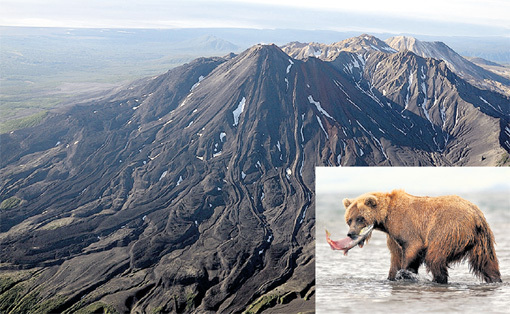 Две главных достопримечательности Камчатки - вулканы и медведи. Фото с сайта Wikipedia.org