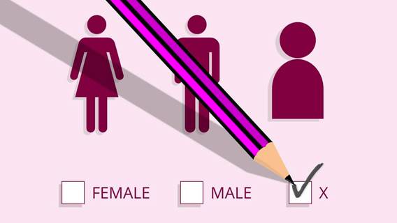 Жители Нью-Йорка теперь могут выбрать нейтральный гендерный маркер в своих удостоверениях личности