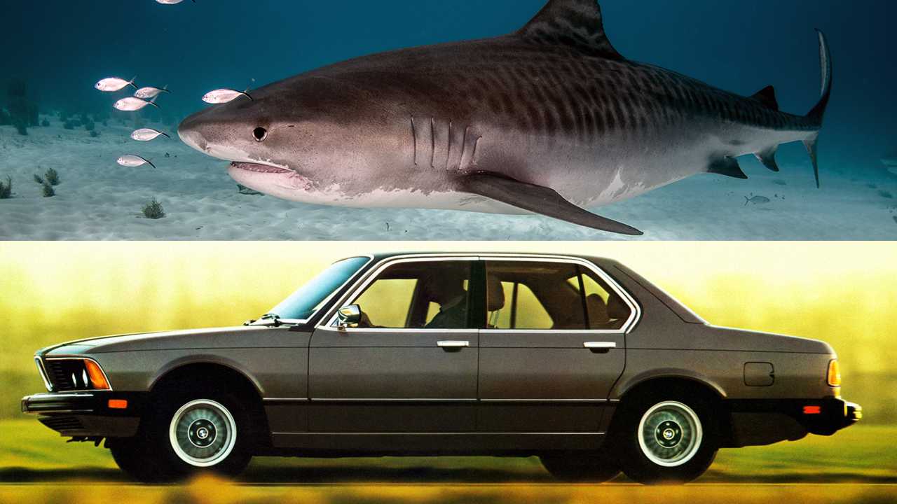 Автомобиль Shark