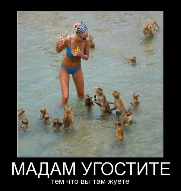 Ржачные и смешные демотиваторы из нашей жизни Ржачные и смешные демотиваторы из нашей жизни