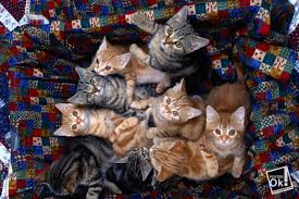 Мазай и Герасим Мазай и Герасим позитив