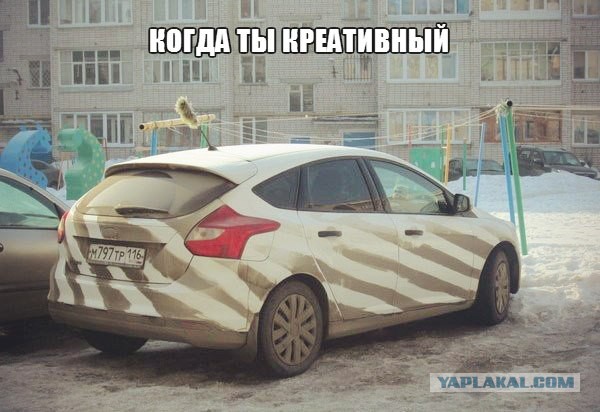 Автокартинки отдых