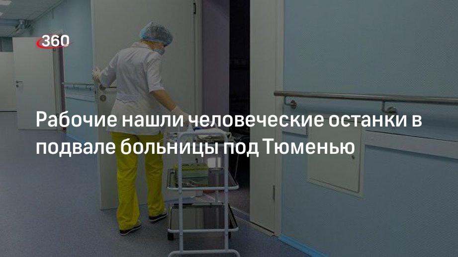 Прораб Поздняков: в подвале больницы в Нижней Тавде летом нашли человеческие останки