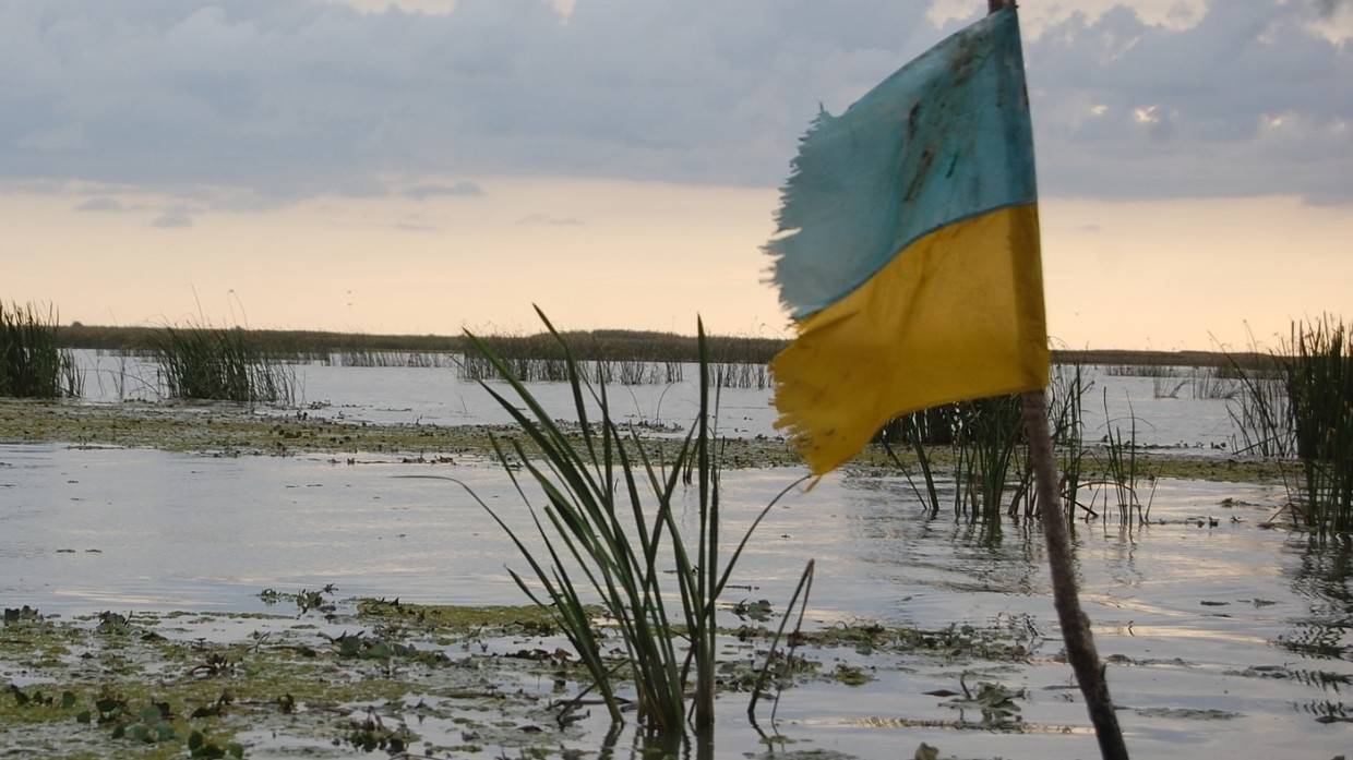 Правительство Украины скрывает реальное положение в социально-экономической сфере Экономика