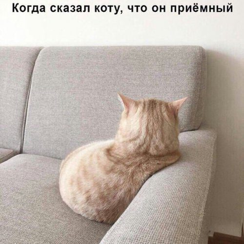 Смешные фотомемы Смешные фотомемы