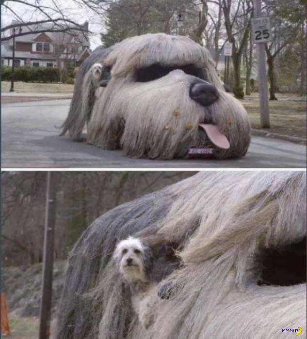 СÑÑаннÑе маÑÐ¸Ð½Ñ ÑÑÑаннÑÑ
лÑдей