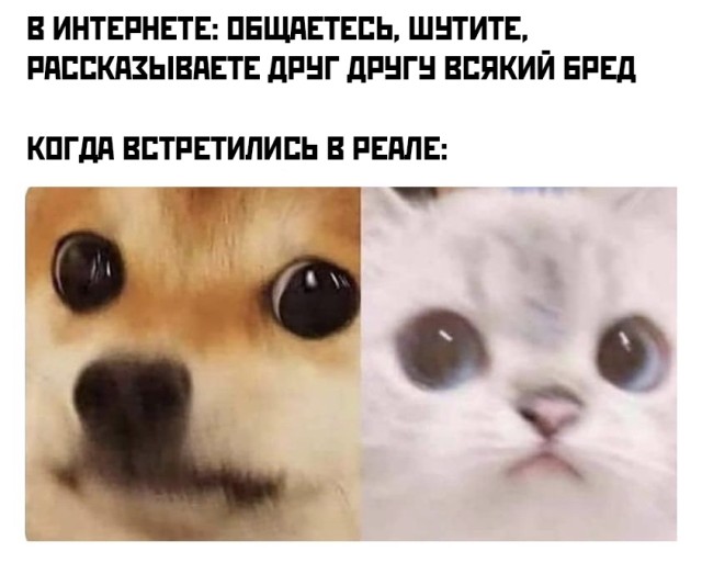 Подборка картинок. Вечерний выпуск  приколы,смешные картинки,юмор