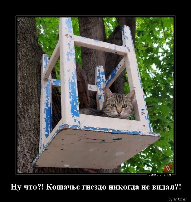 Демотиваторы дня: «Хорошо выспалась…»  