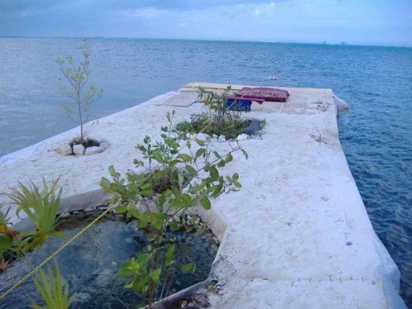 Искусственный остров из пластиковых бутылок Искусственный остров из пластиковых бутылок сделай сам