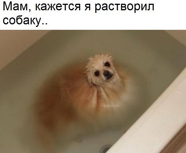 Смешные комментарии из социальных сетей прикол, юмор