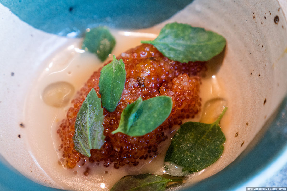 Лучший ресторан мира: рыбий пузырь, муравьи и кожа в шоколаде Лучший ресторан мира: рыбий пузырь, муравьи и кожа в шоколаде мир,страны,туризм