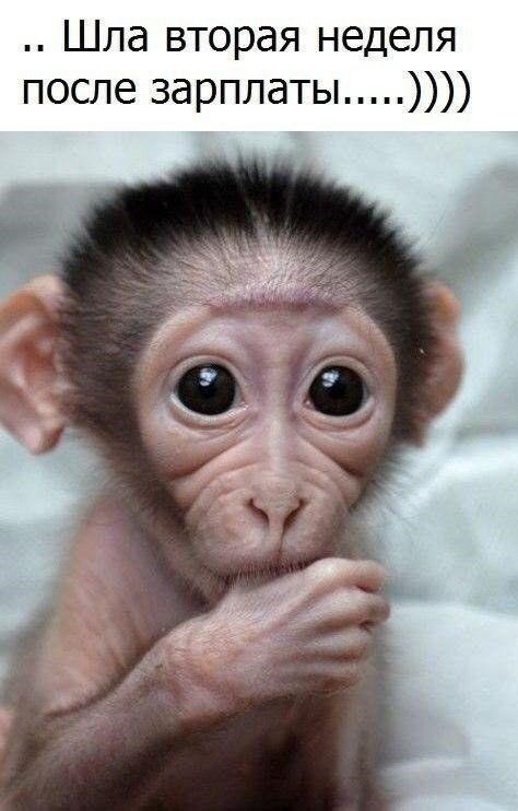 Подборка шуток и анекдотов 