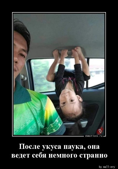 Демотиваторов свежая порция: «В этом доме…» 