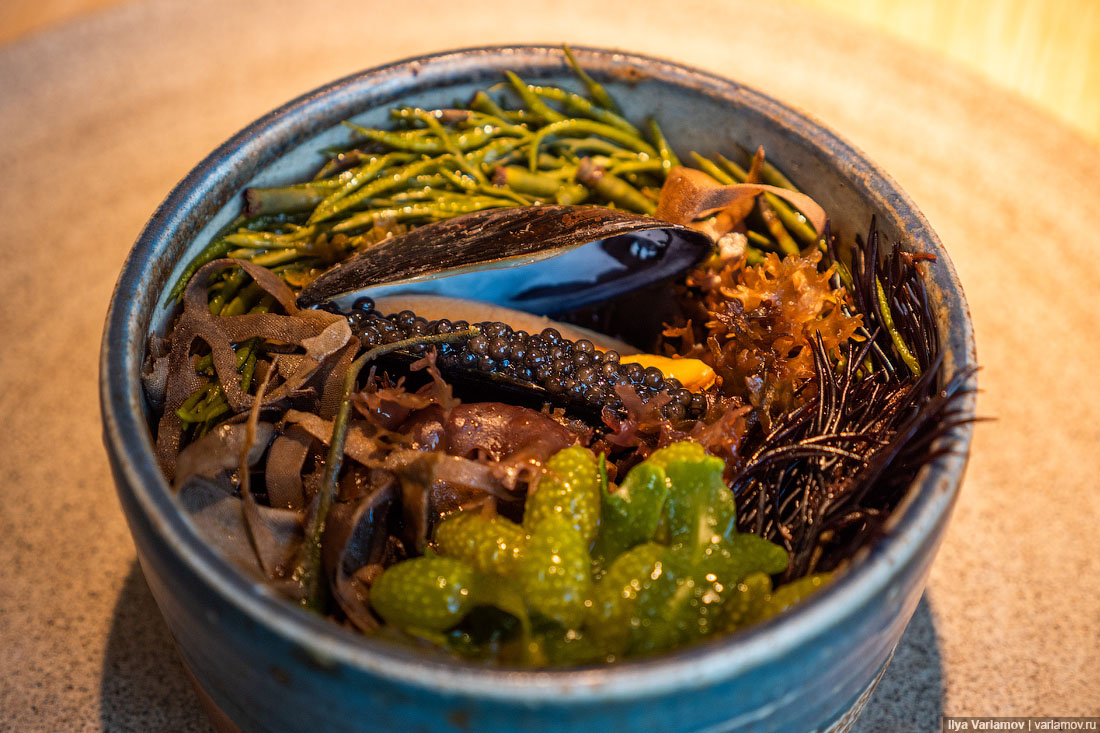 Лучший ресторан мира: рыбий пузырь, муравьи и кожа в шоколаде Лучший ресторан мира: рыбий пузырь, муравьи и кожа в шоколаде мир,страны,туризм