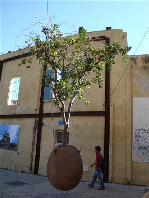 Дерево без корней – символ еврейского народа, потерявшего
свой храм и родину