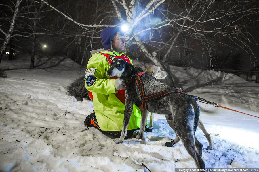 Волга Квест 2016