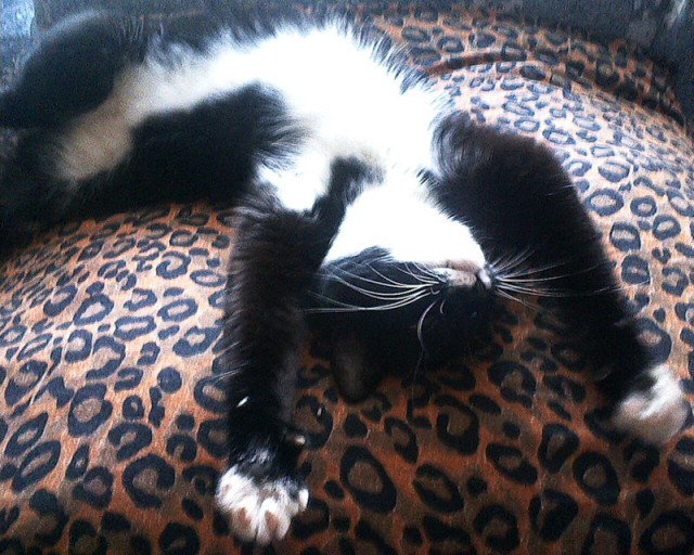 Спим в неожиданных местах и позах