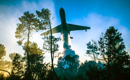 На фото: самолет МЧС РФ Бе-200ЧС во время тушения лесных пожаров.