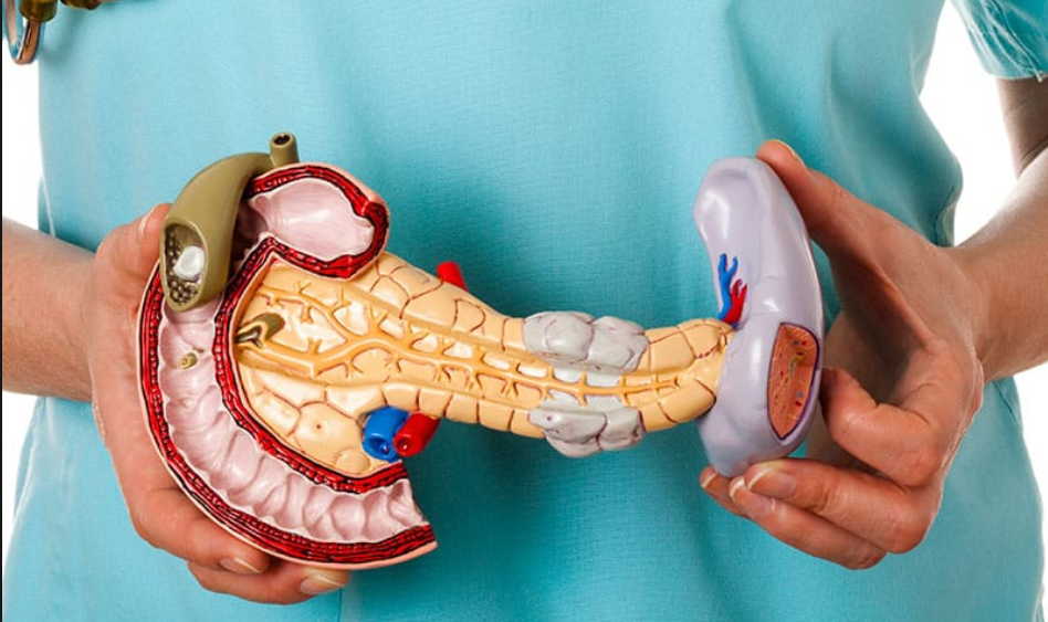 Случай излечения воспаления поджелудочной железы при помощи бархатцев и золотого уса