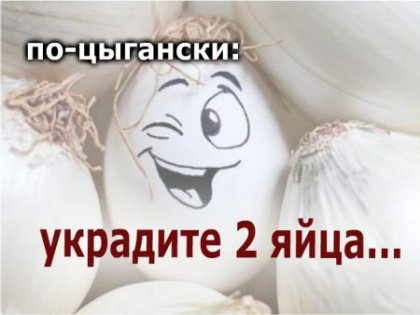 Сказка украденное яйцо. Сказка украденное яйцо.