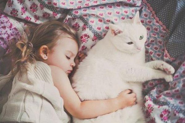 Больше, чем фото... Больше, чем фото... девушки, дети, животные, коты, юмор
