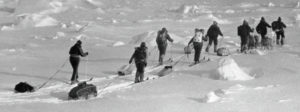 Госпожа Метелица: несказочные приключения советских женщин на Северном Полюсе 
