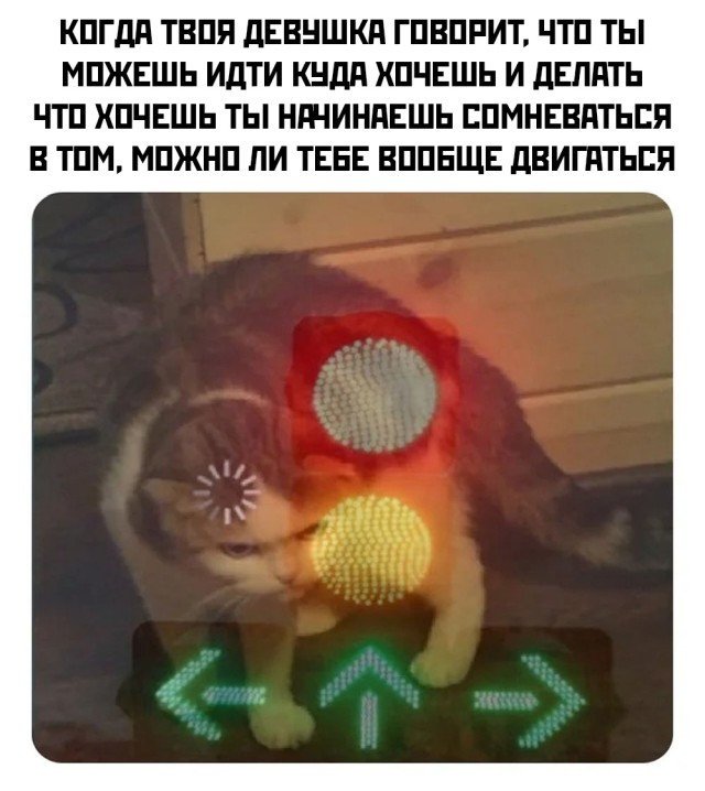 Подборка картинок. Вечерний выпуск  приколы,смешные картинки,юмор