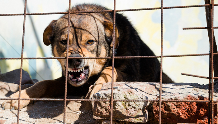 Двухлетняя девочка шла по железной дороге и плакала, а на неё мчался тепловоз россия