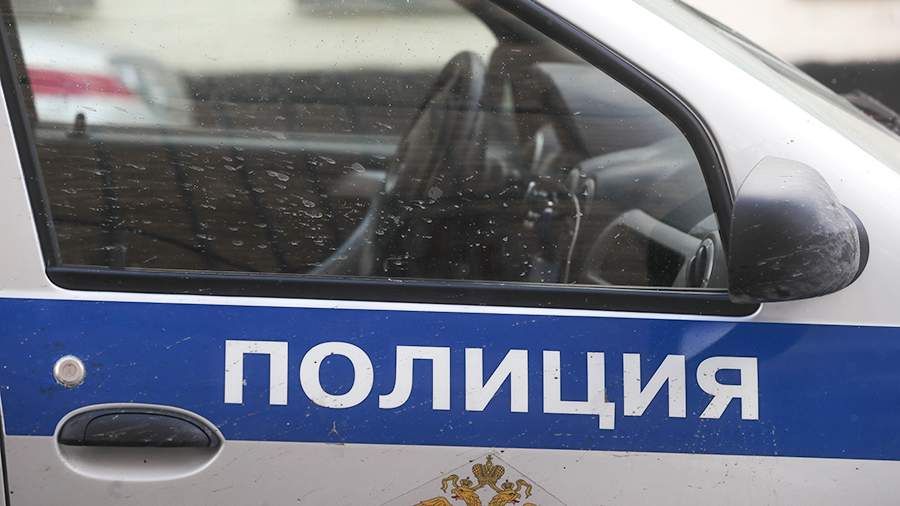 В Красноярском крае возбудили уголовное дело после нападения мужчины на собаку