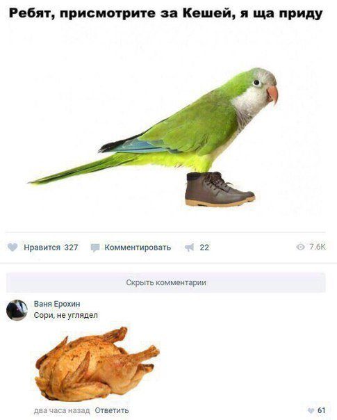 Прикольные комментарии из соцсетей