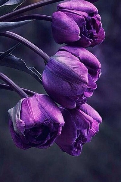 Прикольные картинки и зачетные фотографии из нашей жизни красивые фотографии,прикольные картинки,угарные фотки,шикарные фотографии