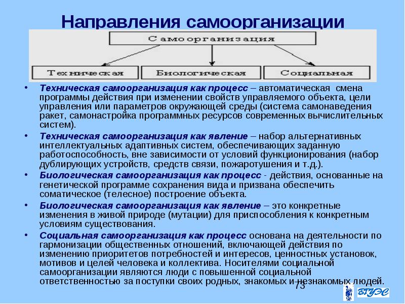 Рынок как самоорганизующаяся система план