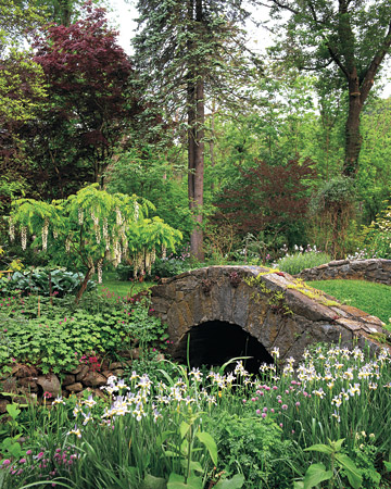 wild-garden-inspiration-naturalness8.jpg wild-garden-inspiration-naturalness8.jpg