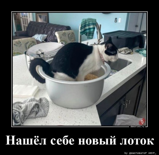 Демотиваторы дня: «Хорошо выспалась…»  