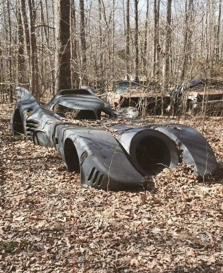 Подборка картинок. Вечерний выпуск  приколы,смешные картинки,юмор